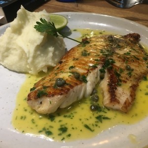 Pescado blanco