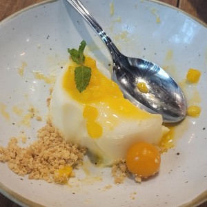 panacotta