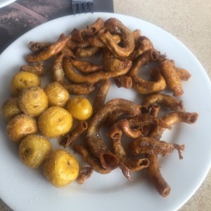 chinchil