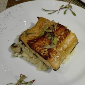 Salmón 