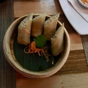 Spring Rolls Pollo