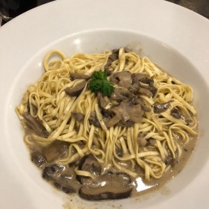 Fetuccine al huevo con salsa stroganoff