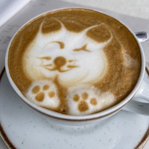 Latte