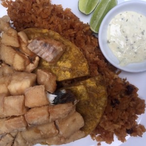 Tilapia