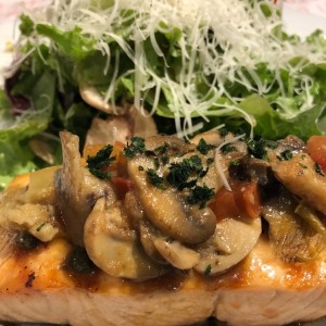 Salmon