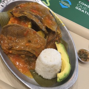 lengua