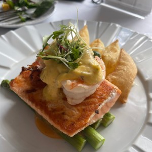 Salmon