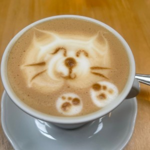 Capuchino