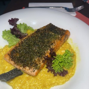 Salmon encostrado