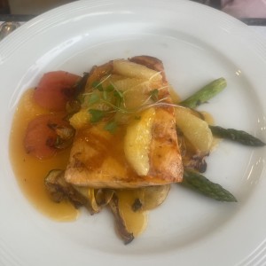 Salmon