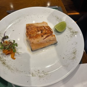 Salmon