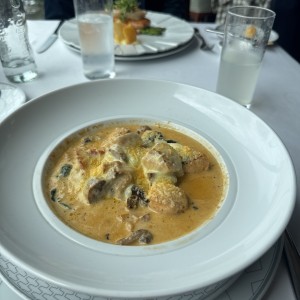 Pollo