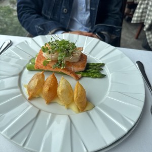 Salmon 