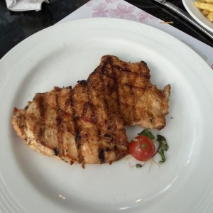 Pollo