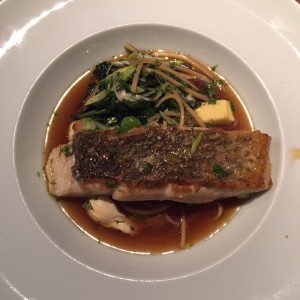 corvina