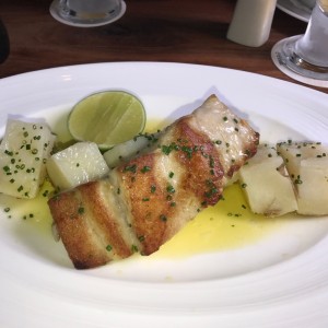 pesca del dia 