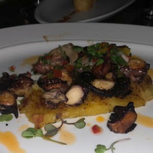 Pulpo