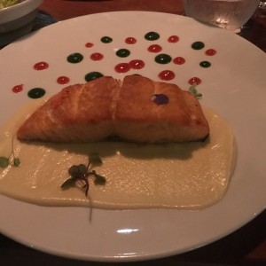 salmon