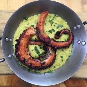 Pulpo
