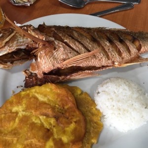 pargo rojo frito