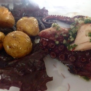 Pulpo