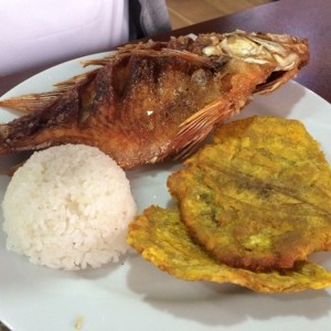 Mojarra