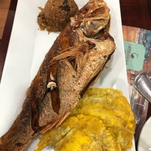 pargo rojo grande