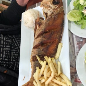 pargo rojo
