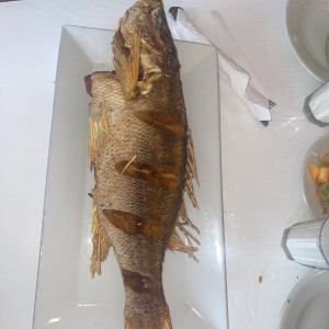 Pargo