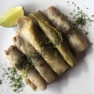 Hojas de repollo