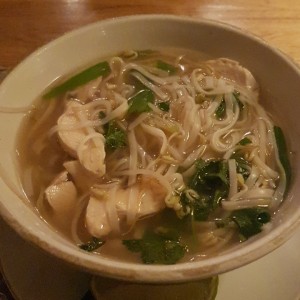 sopa vietnamita de pollo