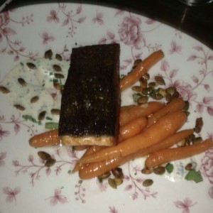 Salmon 