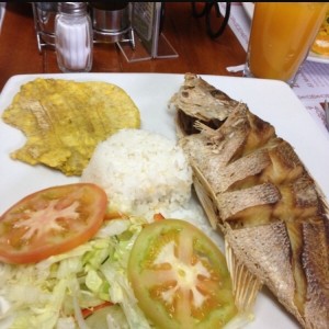 Pargo Rojo