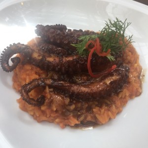 Pulpo fomentera