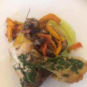 Pollo