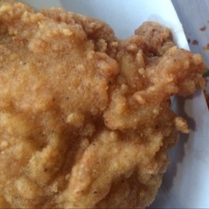 Pollo