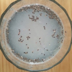 Limonada con chía