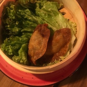 gyosas de pollo