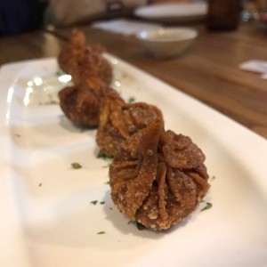 wontons de vegetales