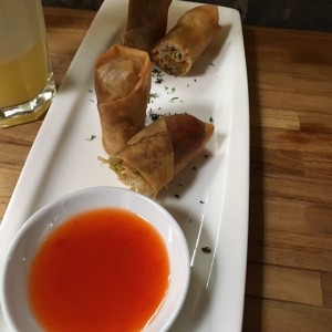 rollo de primavera