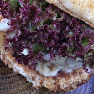 Hamburguesa con queso y tocineta