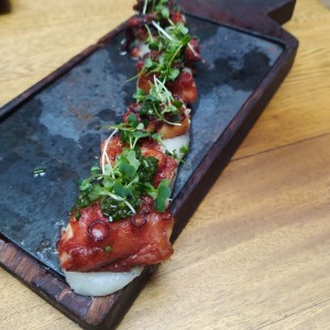 Pulpo