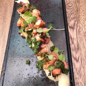 Pulpo
