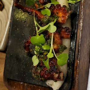 Pulpo