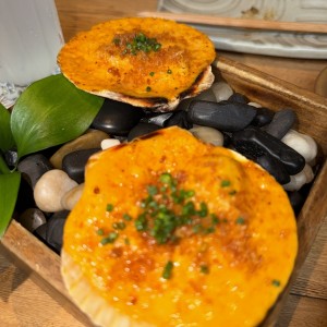 Scallops