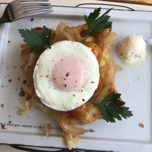 pato casero
