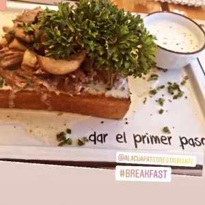 Pato Stroganoff
