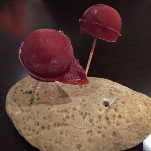 Paletas de tomate de árbol