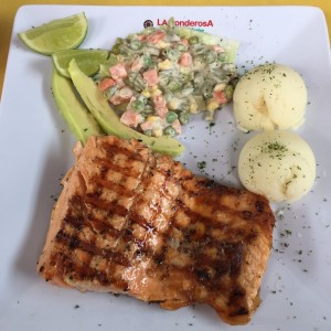 salmon 