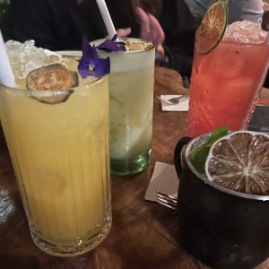 Cocteles: paz y flora, naturaleza, huerta mule y una soda de frutos rojos